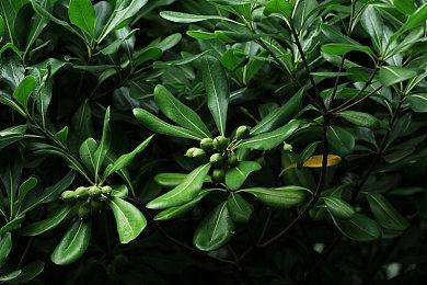  第三人称生存恐怖游戏 《白日梦魇：沙堡1994》现已正式上线